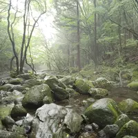 乙女の滝の写真・動画_image_536517