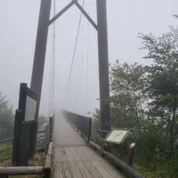 つつじ吊橋の写真・動画_image_536533