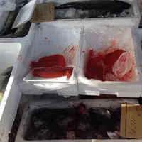 六斎市の写真・動画_image_53735