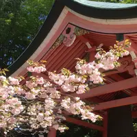 比叡山延暦寺の写真・動画_image_53776