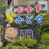 わさび園かどやの写真・動画_image_537873