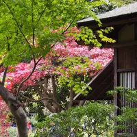 三溪園の写真・動画_image_53804