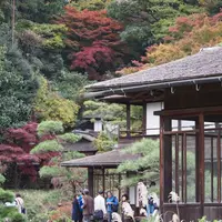 三溪園の写真・動画_image_53805