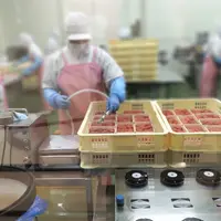かねふくめんたいパーク伊豆の写真・動画_image_538246