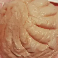 かねふくめんたいパーク伊豆の写真・動画_image_538272