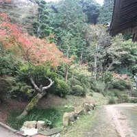 妙青寺の写真・動画_image_53835