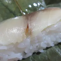 柿の葉すし本舗たなか なら本店の写真・動画_image_539834