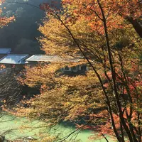 トロッコ列車の写真・動画_image_54137