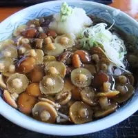 石筵 の写真・動画_image_5420