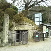 安倍文殊院の写真・動画_image_542279