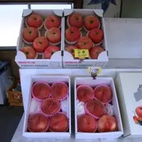 吉田果樹園猪苗代店の写真・動画_image_5425