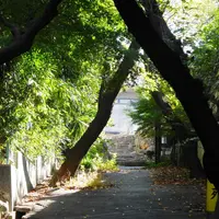 大龍寺の写真・動画_image_5436