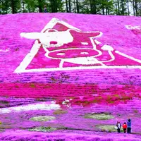 東藻琴芝桜公園の写真・動画_image_5451
