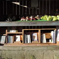 山川文庫の写真・動画_image_54840
