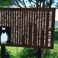 免の石の写真・動画_image_54869