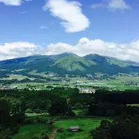 免の石の写真・動画_image_54870