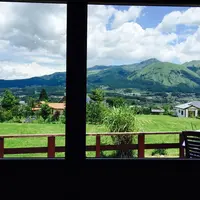 駱駝の写真・動画_image_54871