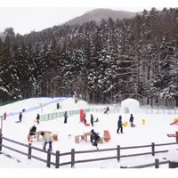 湯西川温泉の写真・動画_image_55118