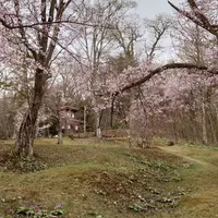 旭山動物園の写真・動画_image_552217