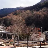 カフェ深山の写真・動画_image_55511