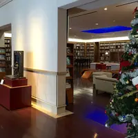 熊本市現代美術館の写真・動画_image_55805