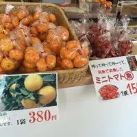 観光農園 吉次園 （KICHIJIEN cafe)の写真・動画_image_55835
