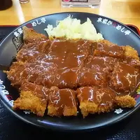 本家かつめし亭の写真・動画_image_558822