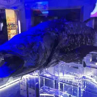 沼津港深海水族館の写真・動画_image_56112