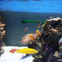 沼津港深海水族館の写真・動画_image_56114