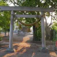 吉良ワイキキビーチの写真・動画_image_5625