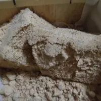 喫茶万葉の写真・動画_image_563174