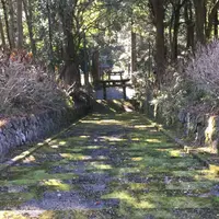 宝八幡宮の写真・動画_image_56385