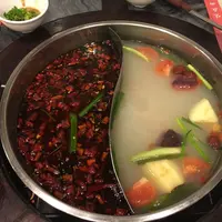 満江紅の写真・動画_image_56422