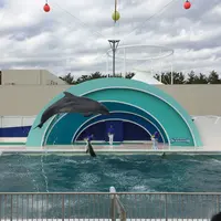 鴨川シーワールドの写真・動画_image_56479