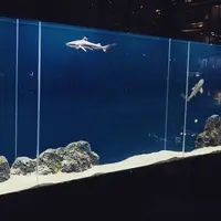 Bloop Shisha Loungeの写真・動画_image_56527