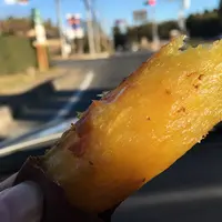 農産物直売所の写真・動画_image_56536