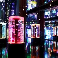 マクセル アクアパーク品川の写真・動画_image_56605