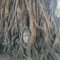 ワット・マハータートの写真・動画_image_56931