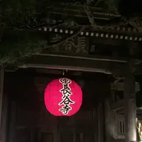 長谷寺の写真・動画_image_56953