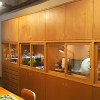 みなとやま水族館の写真・動画_image_572847