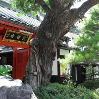 善光寺の写真・動画_image_5731