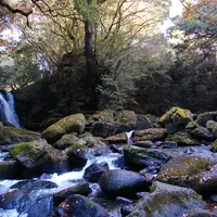 旅館藤もとの写真・動画_image_57398