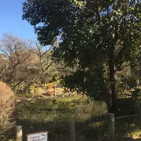 有栖川宮記念公園の写真・動画_image_57463