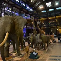 Muséum national d'Histoire naturelle（国立自然史博物館）の写真・動画_image_57492