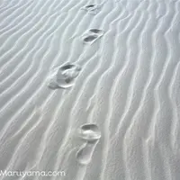 Parque Nacional dos Lençóis Maranhensesの写真・動画_image_57576