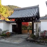 金地院の写真・動画_image_57614