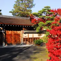 金地院の写真・動画_image_57615