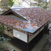 鞍馬山の写真・動画_image_57626