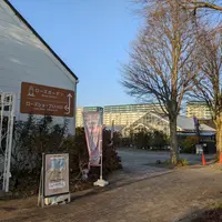 京成バラ園の写真・動画_image_576349