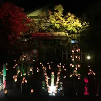 竹田市の写真・動画_image_57700